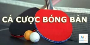 Cược chấp trong cá cược bóng bàn Kubet