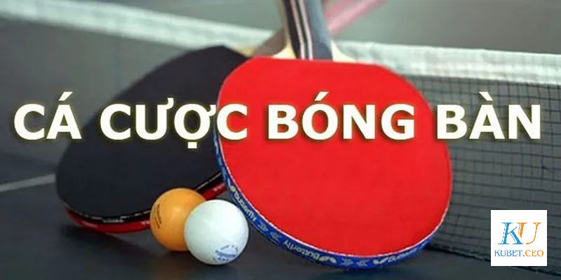 Cược chấp trong cá cược bóng bàn Kubet