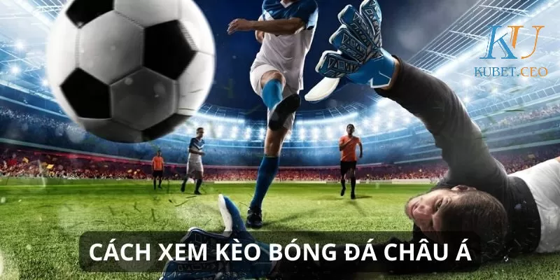 Tổng hợp các cược Châu Á phổ biến nhất hiện nay